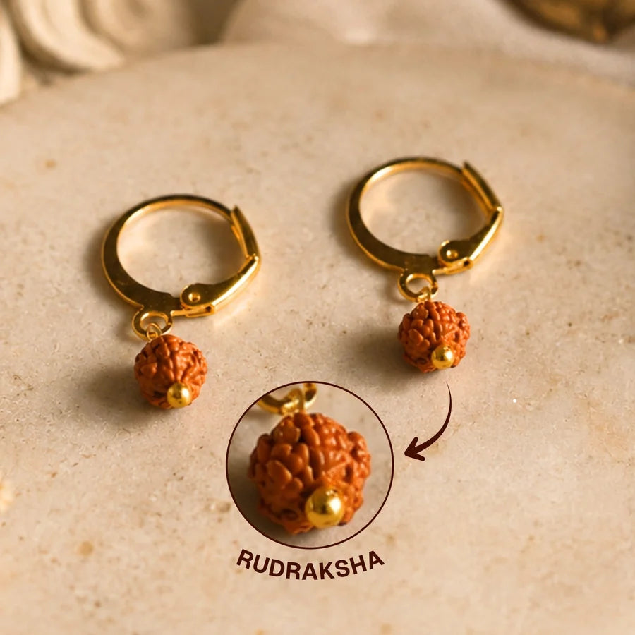 5 Mukhi Rudraksha Hoop Earrings - Pack of 2 Pairs