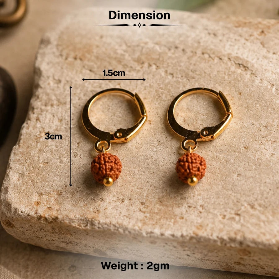 5 Mukhi Rudraksha Hoop Earrings - Pack of 2 Pairs