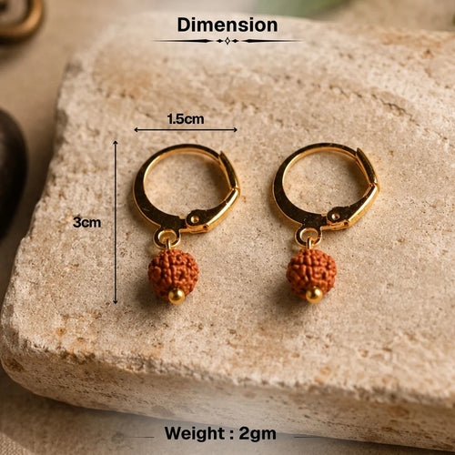 5 Mukhi Rudraksha Hoop Earrings - Pack of 2 Pairs