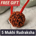 5 Mukhi Nepali Rudraksha