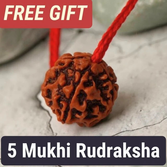 5 Mukhi Nepali Rudraksha