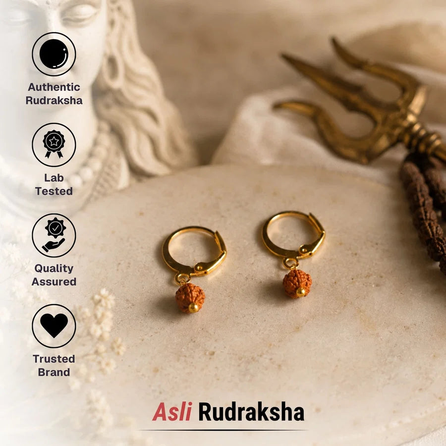5 Mukhi Rudraksha Hoop Earrings - Pack of 2 Pairs